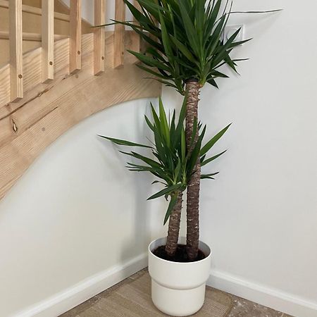 L Appartement Sete Magnifique Duplex Climatise Kültér fotó