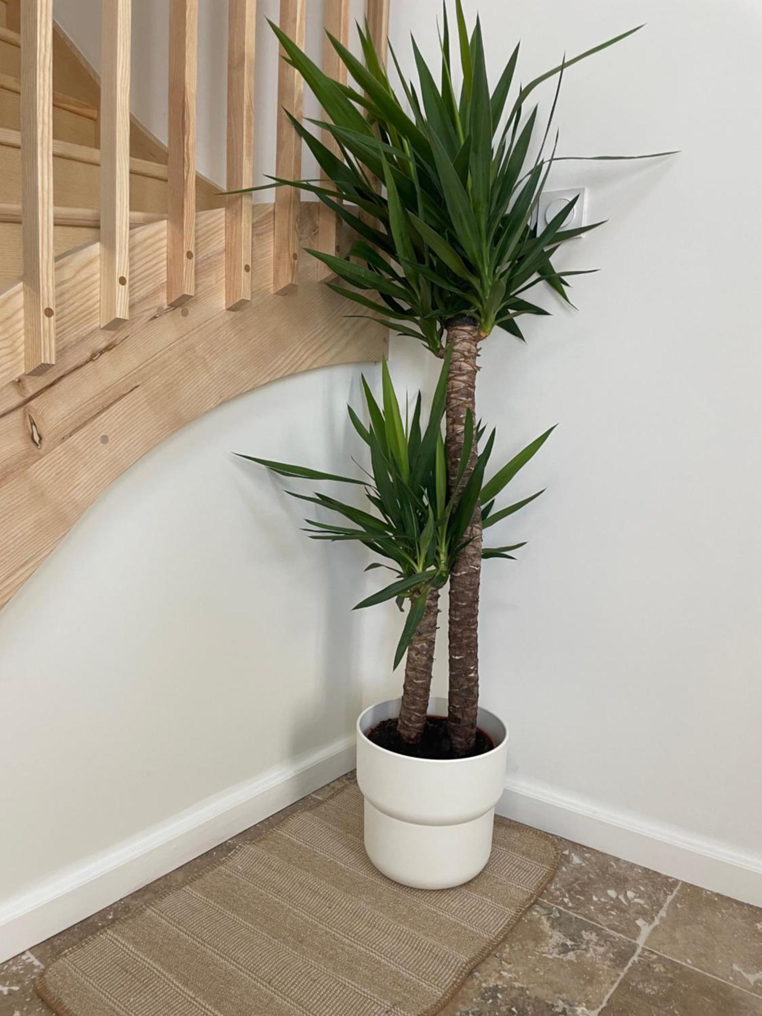 L Appartement Sete Magnifique Duplex Climatise Kültér fotó